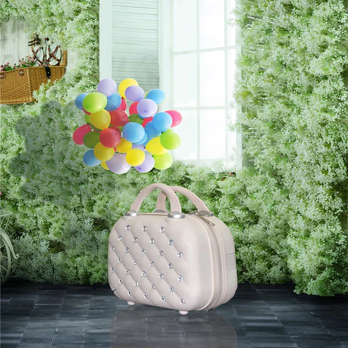 Crystal Embellished Abs Suitcase